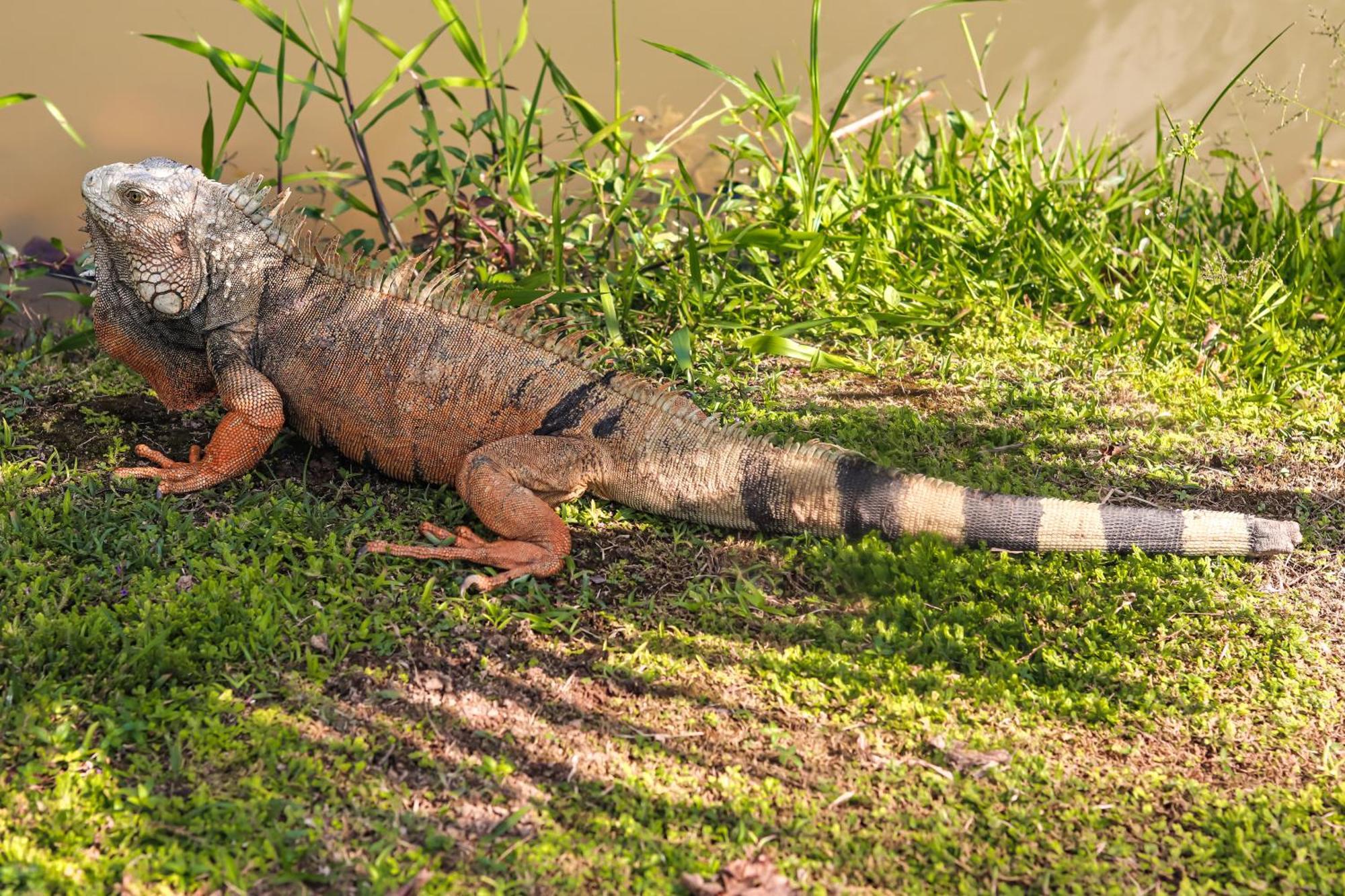 Los Colores Ecoparque Doradal Eksteriør billede